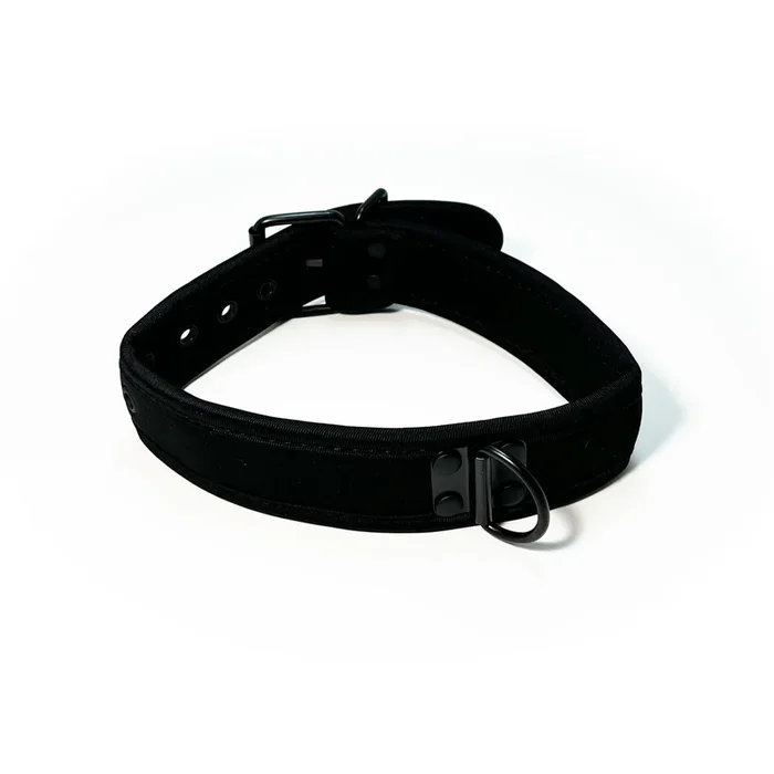 Adjustable Neoprene Collar with D-Ring by Fetish Pleasure Play in Black