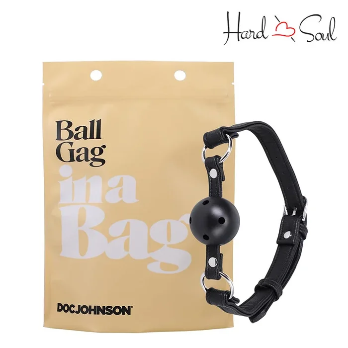 Ball Gag In A Bag