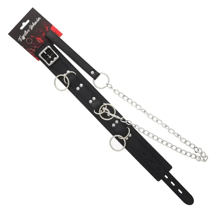 COLLAR BLACK 4 LOOPS W/LEASH