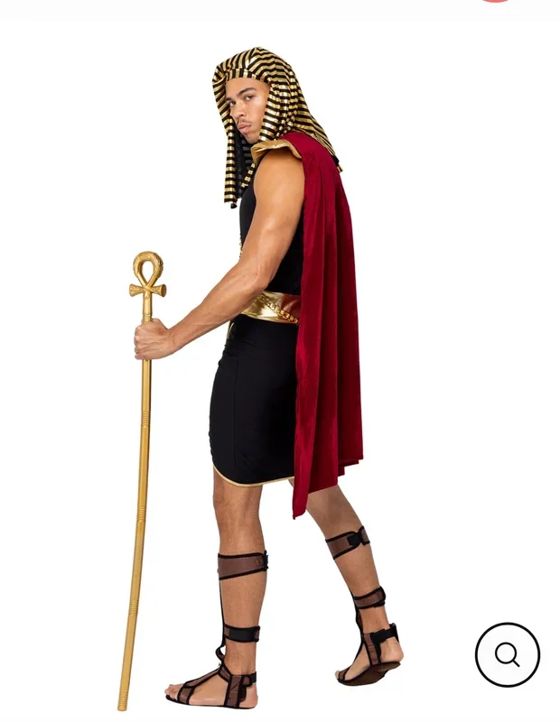 Egyptian King costume 6204
