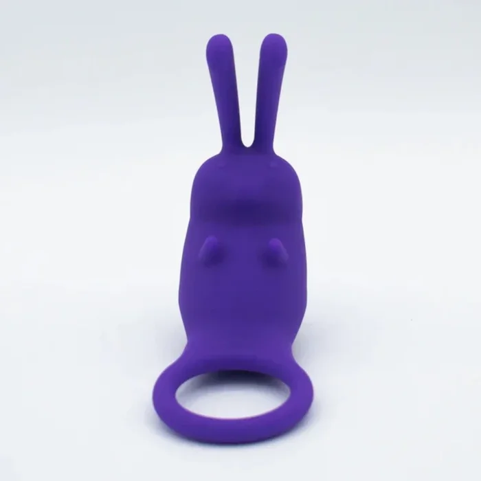 Like A Kitten The Cock Hopper Vibrating Bullet Cock Ring Purple