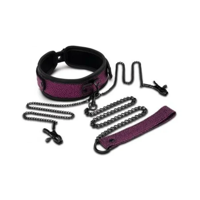 Whipsmart Dragon’s Lair Collar, Leash & Nipple Clips Set